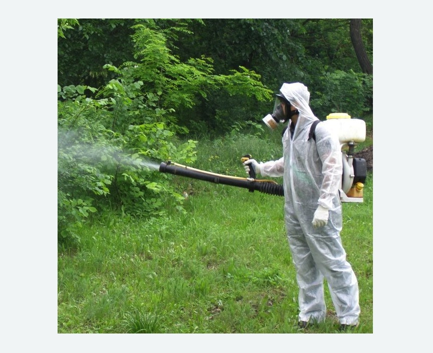 обработка территории от клещей в Черняховске