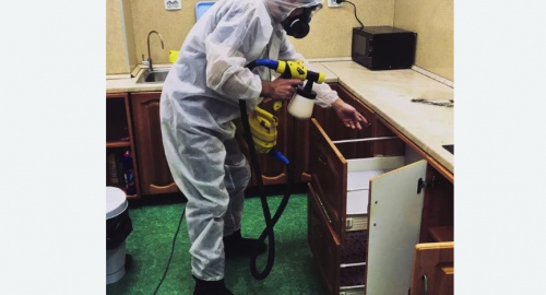 Дезинсекция квартиры. Черняховск