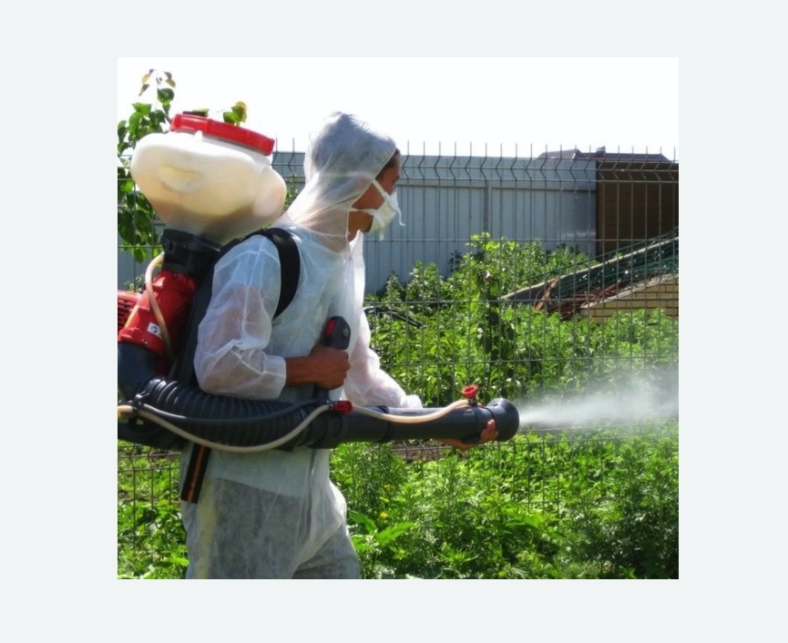 Акарицидная обработка территории в Черняховске