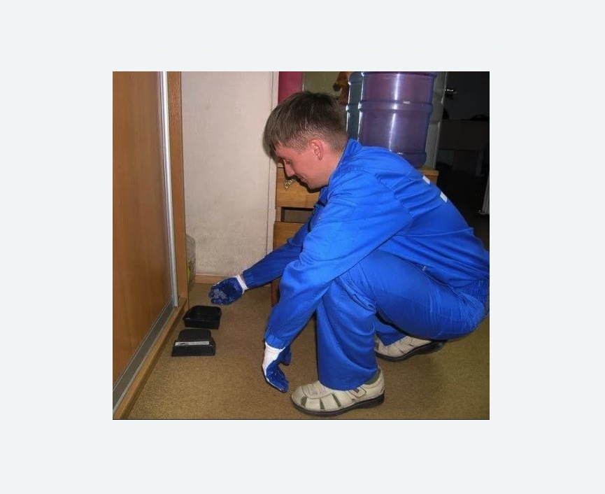 Дератизация крыс в Черняховске