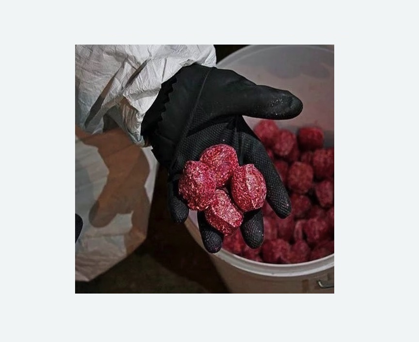 Обработка от крыс в Черняховске