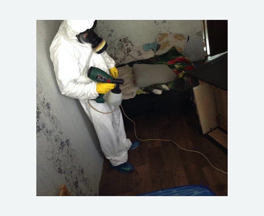 Обработка от насекомых в Черняховске Обработка квартиры от насекомых