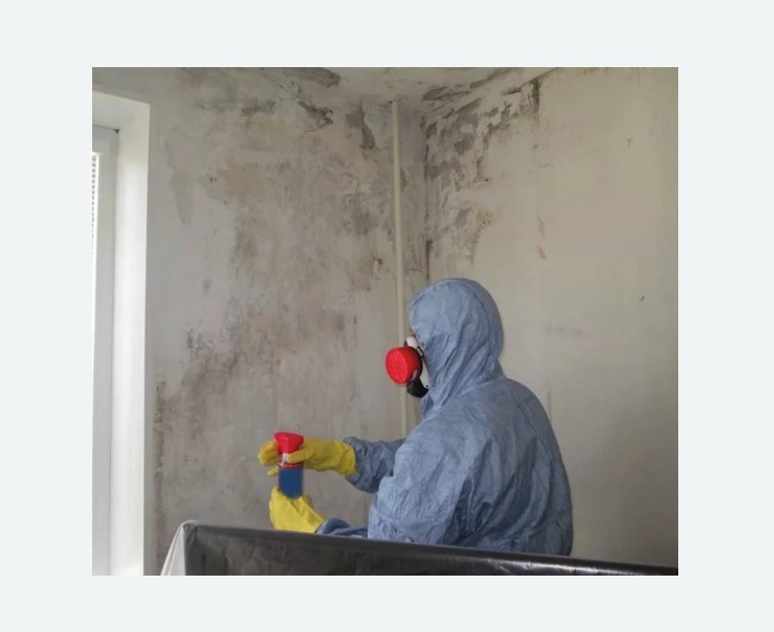 Удаление плесени в квартире в Черняховске