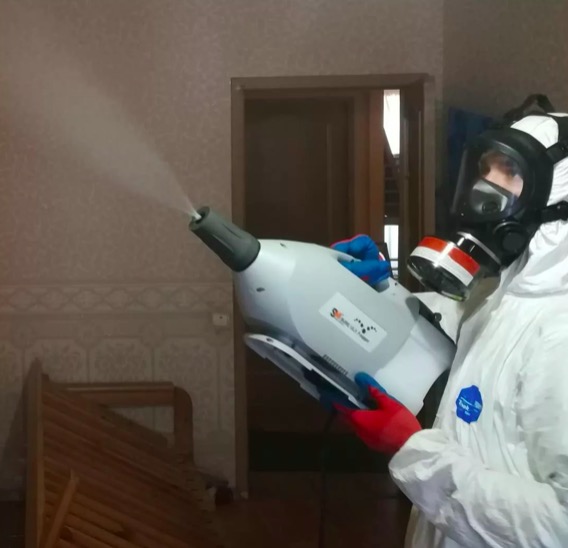 дезинсекция помещения в Черняховске