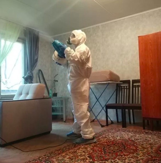 дезинсекция квартиры в Черняховске