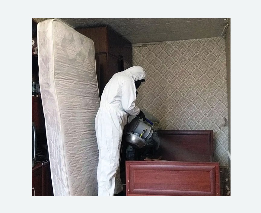 дезинфекция от клопов в Черняховске