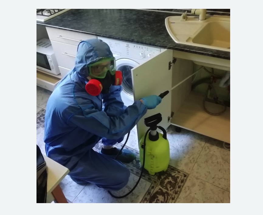 обработка от муравьев в квартире в Черняховске