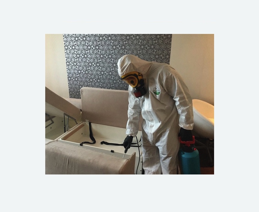 уничтожение клопов в квартире в Черняховске