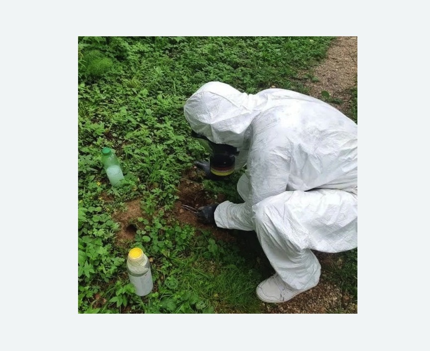 уничтожение кротов на участке в Черняховске