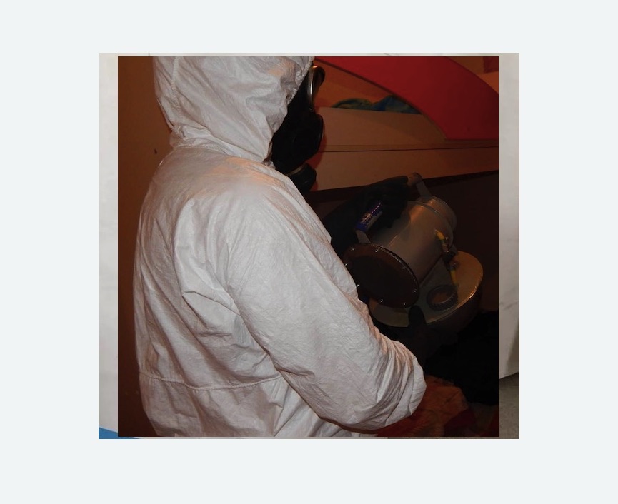 Дезинфекция от муравьев в Черняховске