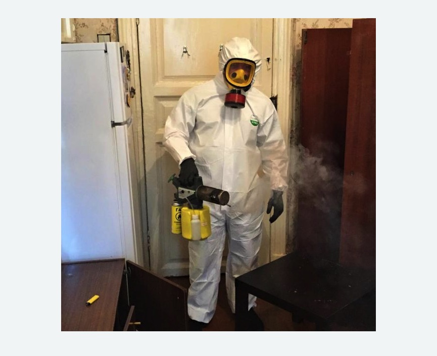 уничтожение муравьев в квартире в Черняховске